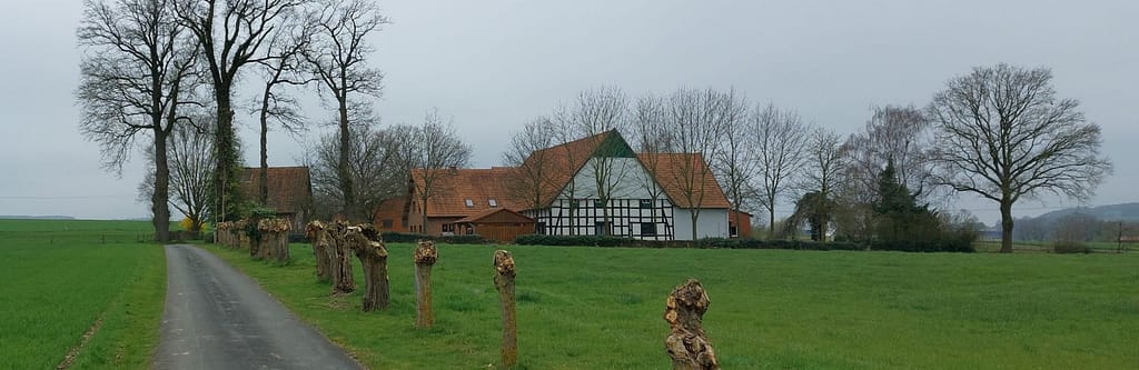 Von Bio-Genuss bis Waben-Check: So feiert Herford das Imker-Handwerk am 1. Mai 6 1.Maitreffen 5 1