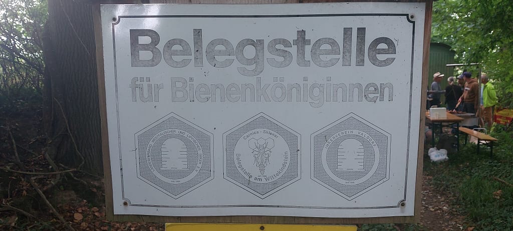 Zucht zwischen Gleis und Grün: Ein Blick hinter die Kulissen der Belegstelle Widukindstein 7 20250706 161121
