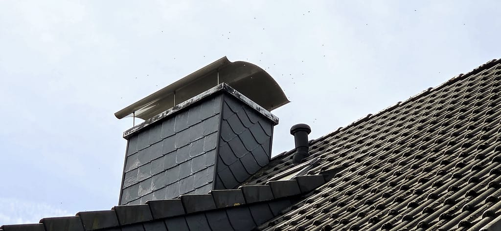 Vom Wald in die Stadt: Warum Freiheit für Honigbienen heute oft tödlich endet 2 20260503 1240532