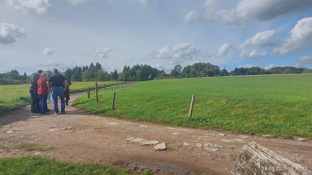 Jagd in den Baumwipfeln: Mit High-Tech der Asiatischen Hornisse auf der Spur 7 IMG 20250914 153123 HDR