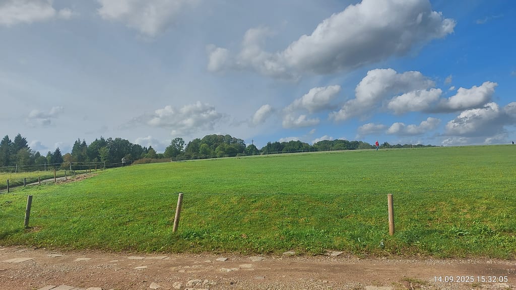 Jagd in den Baumwipfeln: Mit High-Tech der Asiatischen Hornisse auf der Spur 8 IMG 20250914 153205 HDR