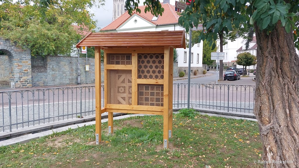 Von der Honigproduktion zum Biotop-Design: 175 Jahre Imkerverein Soest 2 IMG 20250921 134859 2