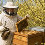 Frühjahrsdurchsicht: Die Futterkontrolle 21 Moderne Imkerei und technologische Innovation