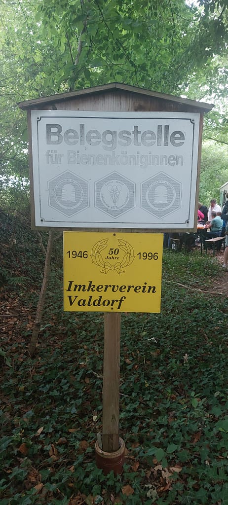 Zucht zwischen Gleis und Grün: Ein Blick hinter die Kulissen der Belegstelle Widukindstein 6 20250706 161112