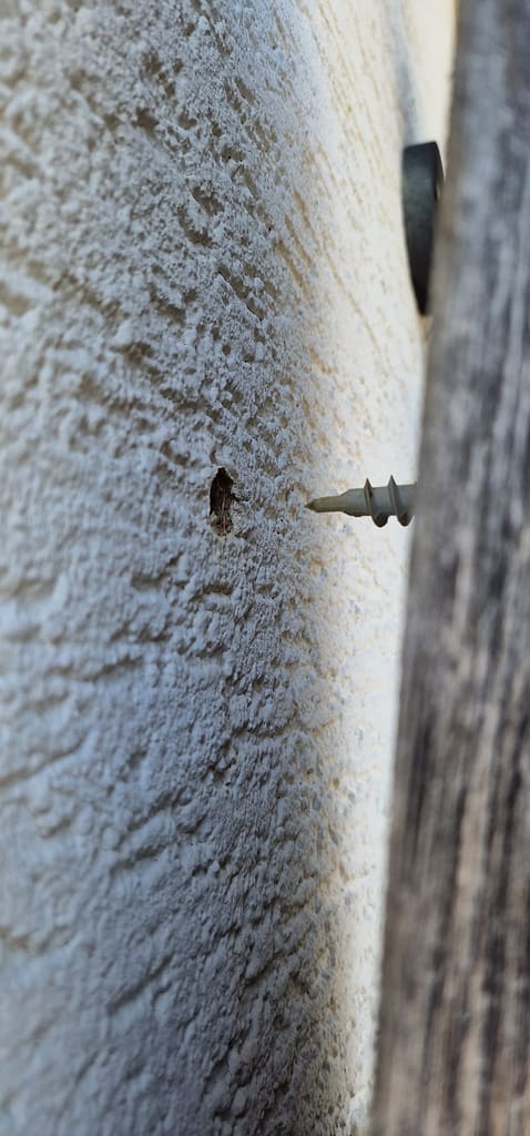 Vom Wald in die Stadt: Warum Freiheit für Honigbienen heute oft tödlich endet 4 IMG 20260430 WA0026