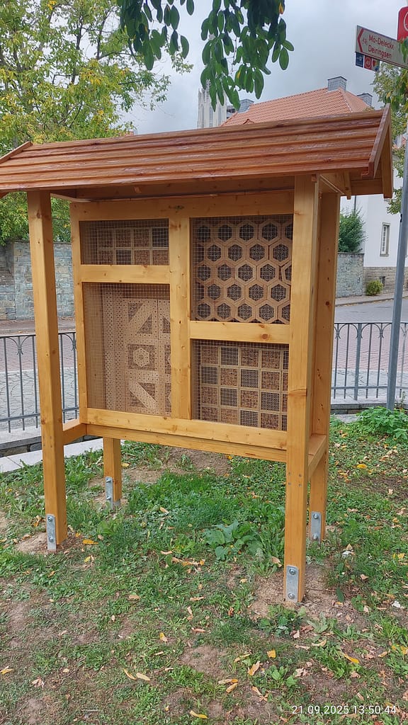 Von der Honigproduktion zum Biotop-Design: 175 Jahre Imkerverein Soest 5 IMG 20250921 135044 HDR