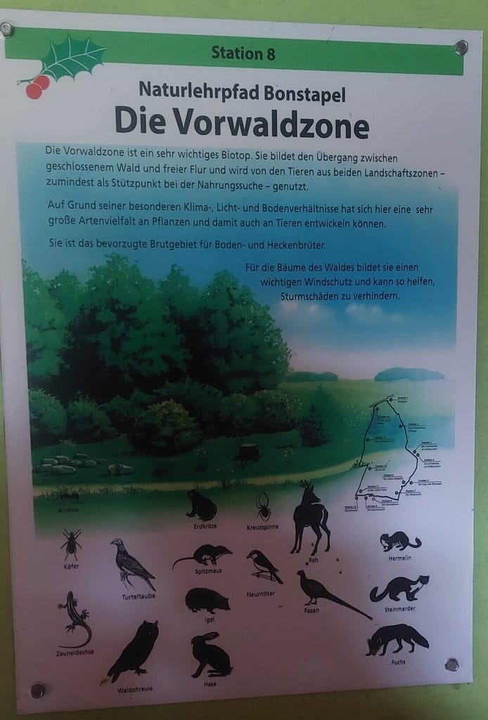Regenschirm statt Sonnenhut: Einweihung des Naturlehrpfads Bonstapel 9 20250525 135119 scaled e1776578145353