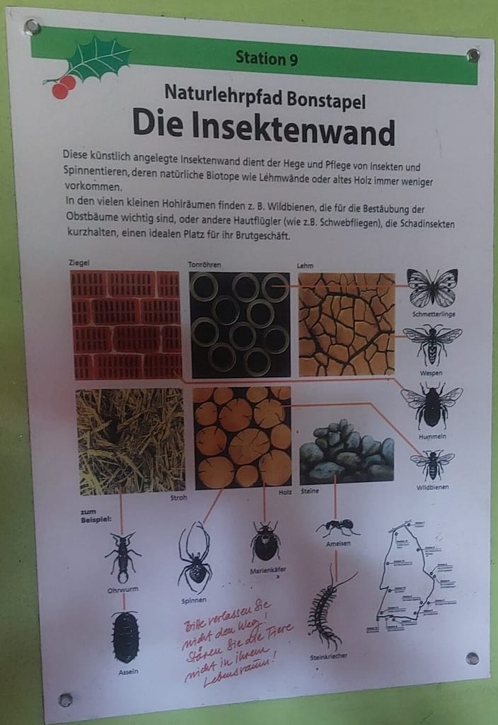 Regenschirm statt Sonnenhut: Einweihung des Naturlehrpfads Bonstapel 10 20250525 135122 scaled e1776578095482