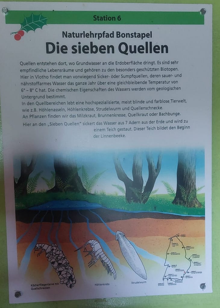 Regenschirm statt Sonnenhut: Einweihung des Naturlehrpfads Bonstapel 7 20250525 135106 scaled e1776578236843
