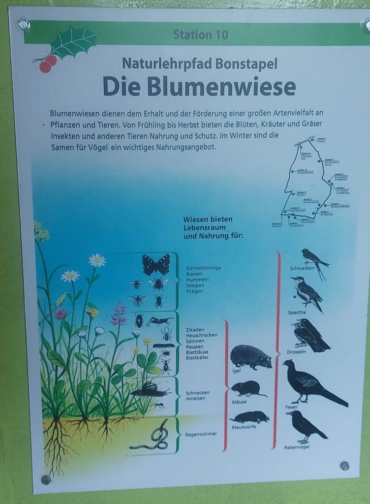 Regenschirm statt Sonnenhut: Einweihung des Naturlehrpfads Bonstapel 11 20250525 135130 scaled e1776578065640