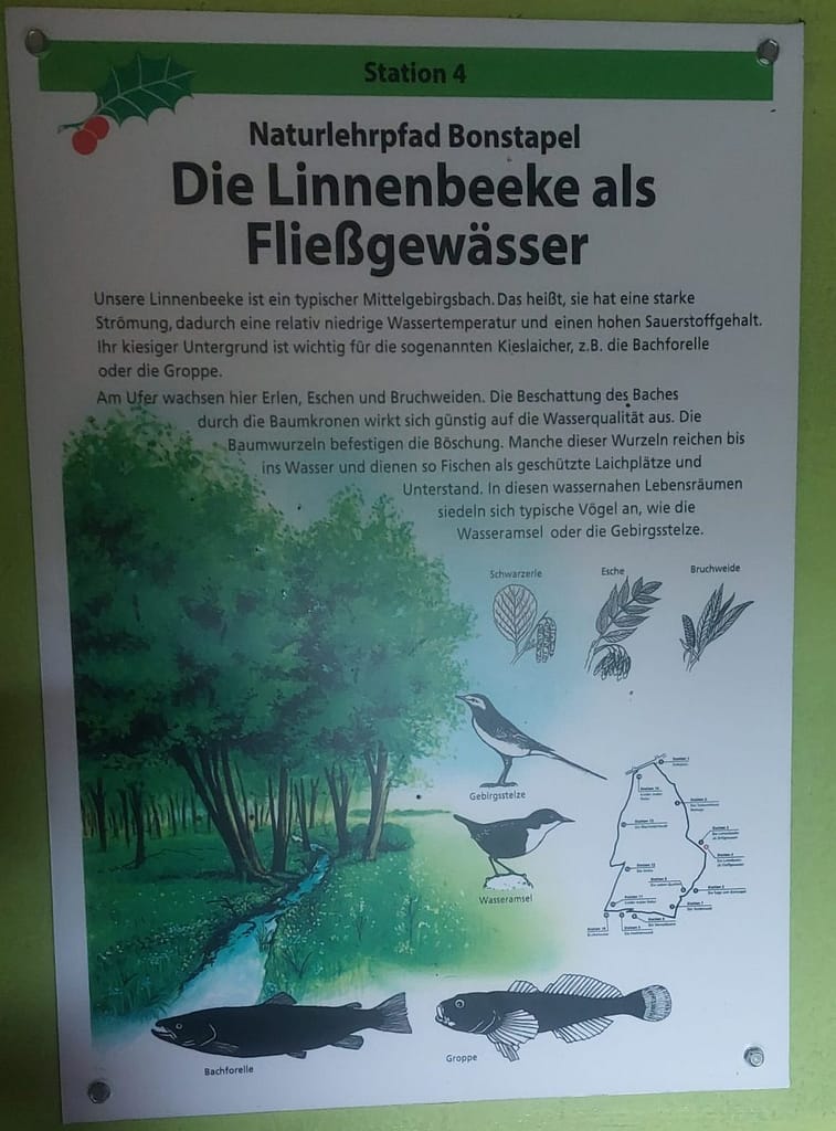 Regenschirm statt Sonnenhut: Einweihung des Naturlehrpfads Bonstapel 5 20250525 135056 scaled e1776578295558