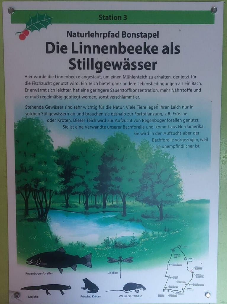 Regenschirm statt Sonnenhut: Einweihung des Naturlehrpfads Bonstapel 4 20250525 135051 scaled e1776578324343