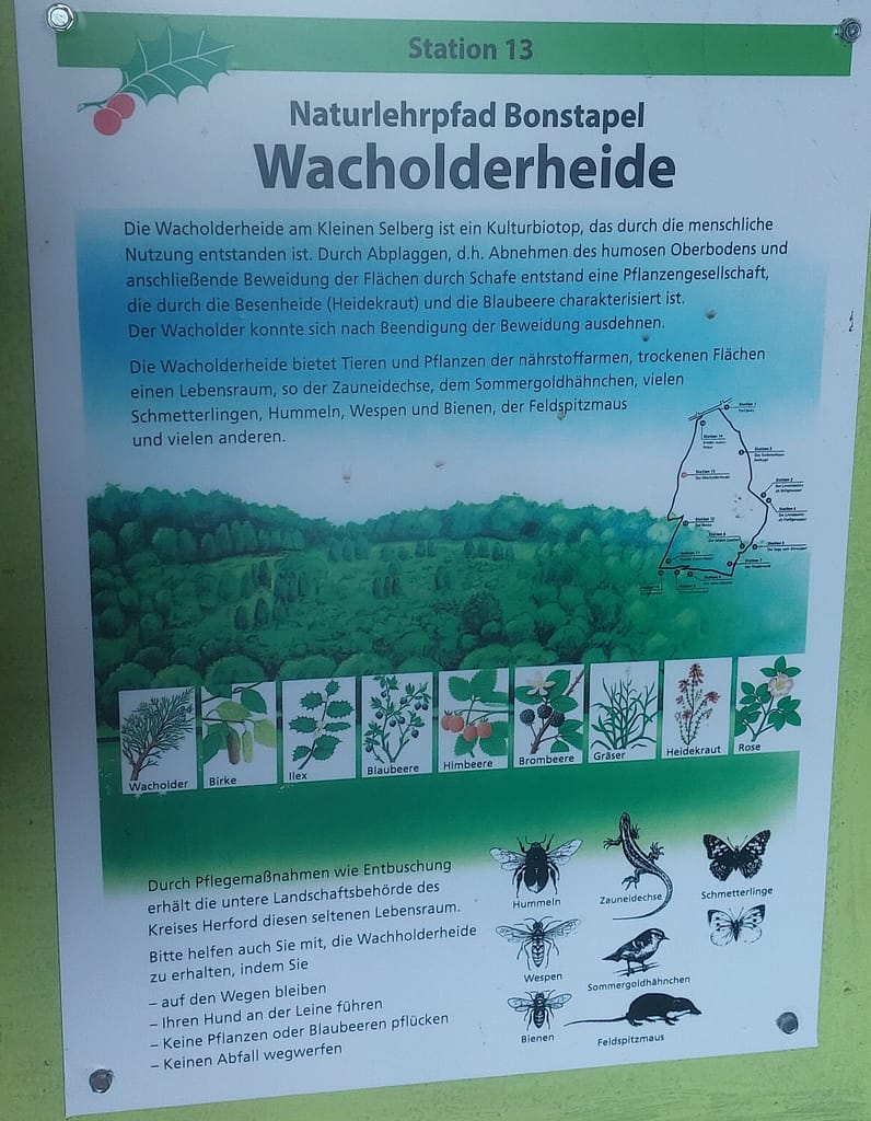 Regenschirm statt Sonnenhut: Einweihung des Naturlehrpfads Bonstapel 13 20250525 135138 rotated e1776577882988