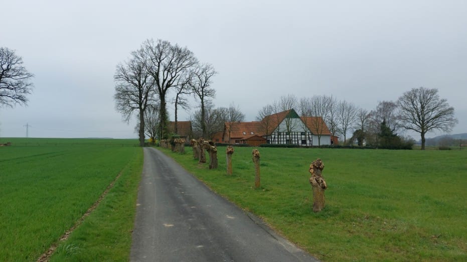 1.Maitreffen (10)