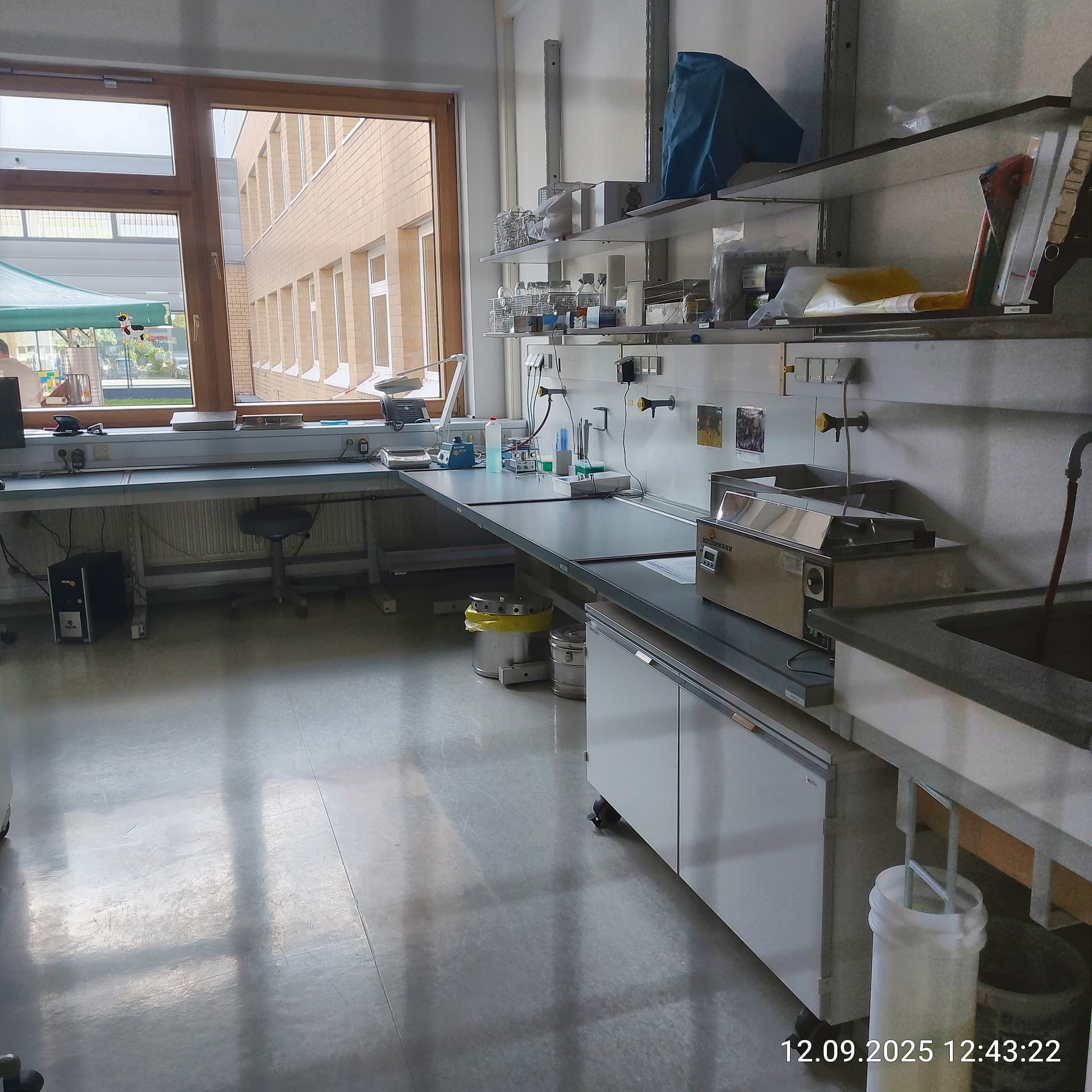 Detektive im weißen Kittel: Was das CVUA Detmold für unseren Honig leistet 7 IMG 20250912 124322 HDR