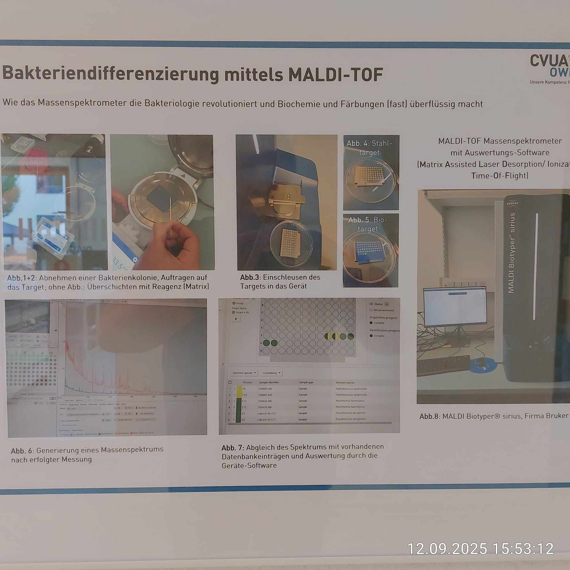 Detektive im weißen Kittel: Was das CVUA Detmold für unseren Honig leistet 6 IMG 20250912 155312 HDR 2